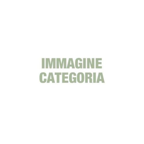 img-categoria